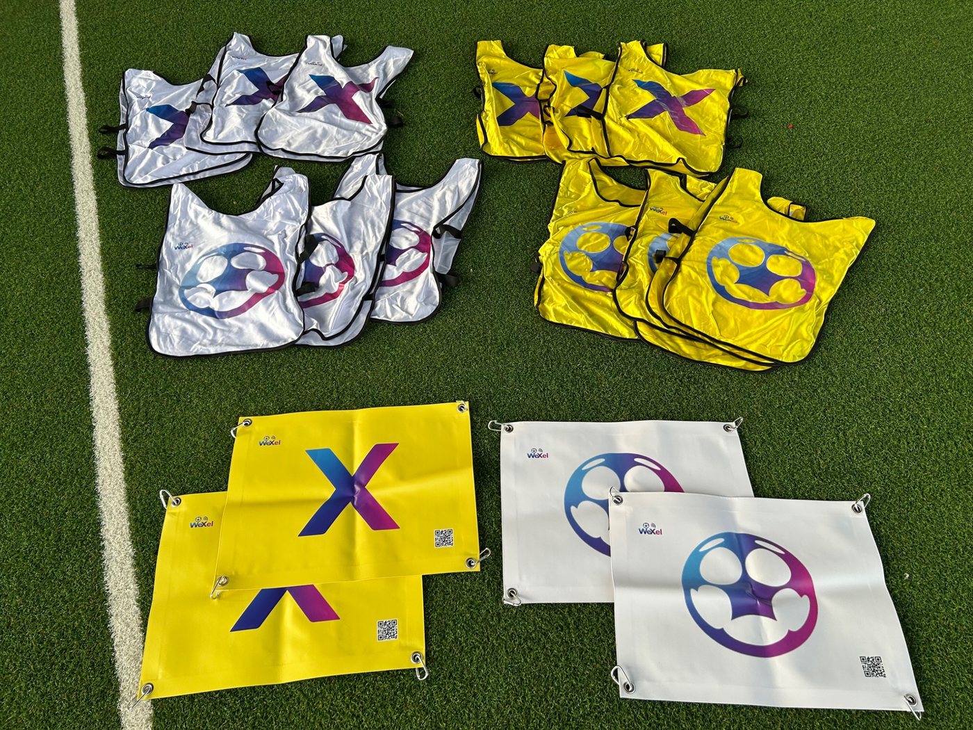 WeXel 12 Set